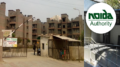 Noida Authority Flats News